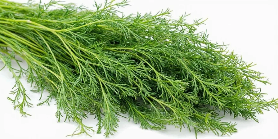 Dill: The Herb That’s More Than Just a Pickle Flavor (List of Surprising Benefits & Uses)