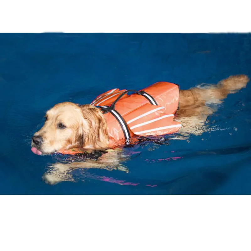 

Outdoor clothes pet swimsuit angel wing dog life jacket pet life jacket