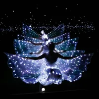 

LED light wings ballet performance clothing fluorescent butterfly dance cloak dance costume belly dance cloak props
