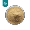 Factory Provide Best White Willow Bark Extract Salicin