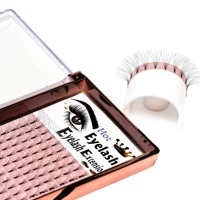 

korea short and long stem PBT material silk lashes 3D 4D 5D 6D premade volume fans eyelash extensions