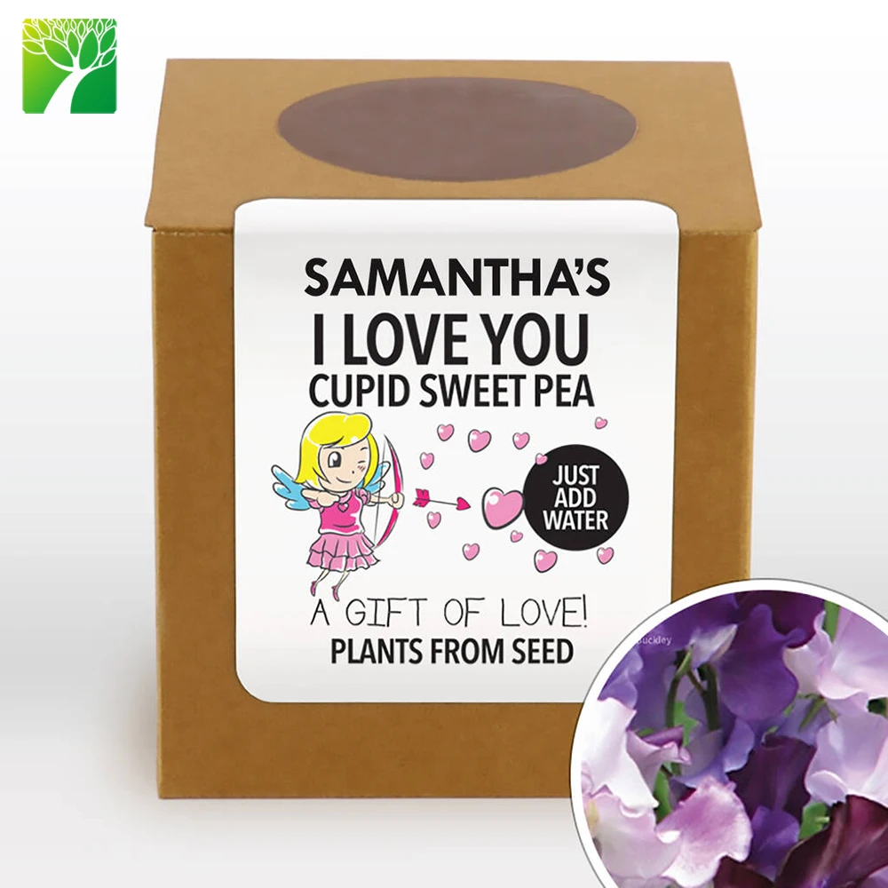 

Wholesale factory price Complete Grow Your Own Cupid Sweet Pea Plant Kit for lovers