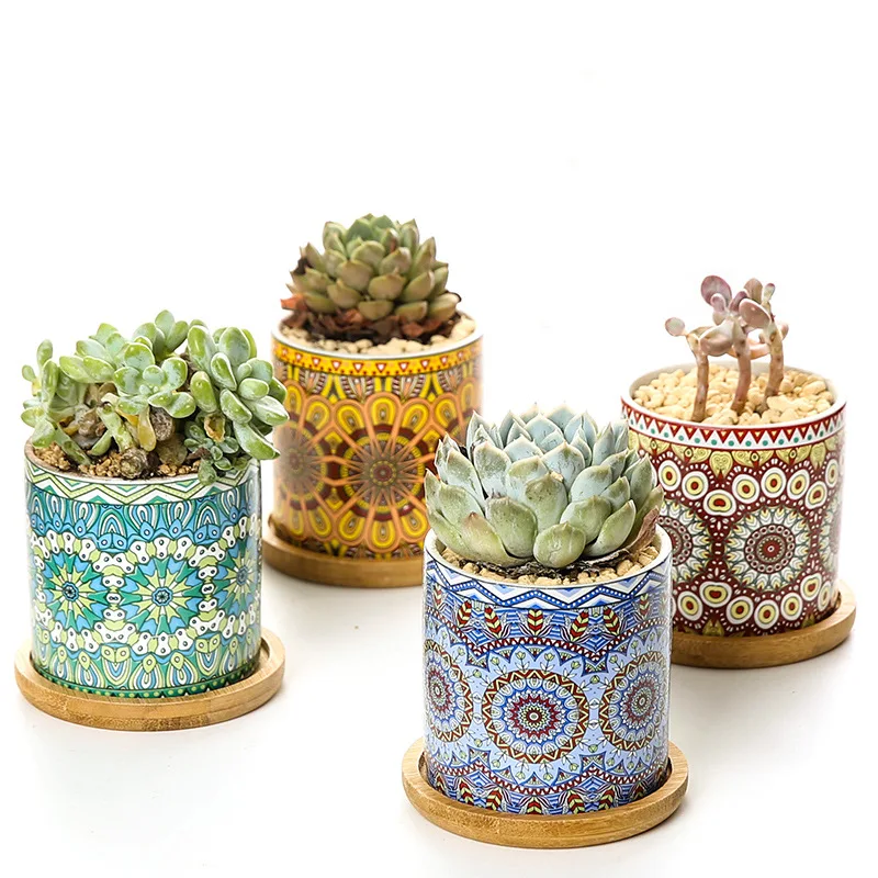 

full printing cheap cactus succulent planter mini ceramic flower pots stock, White