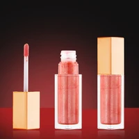 

5 colors China cosmetics vendors lipgloss lip stick private label clear waterproof lip gloss