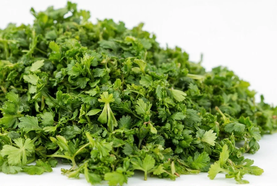 dried parsley a flavorful twist on a classic herb