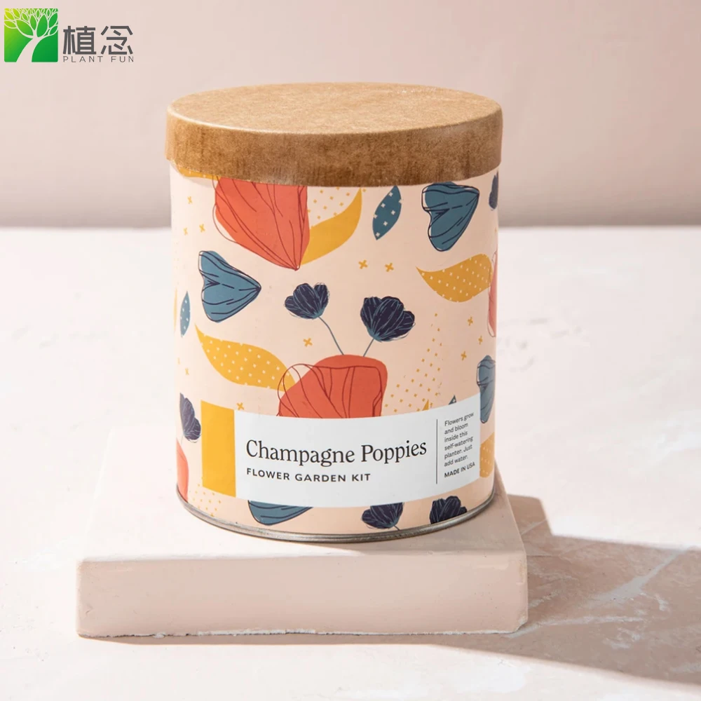 

Hot sale Champagne Poppies Waxed Planter DIY indoor garden kit