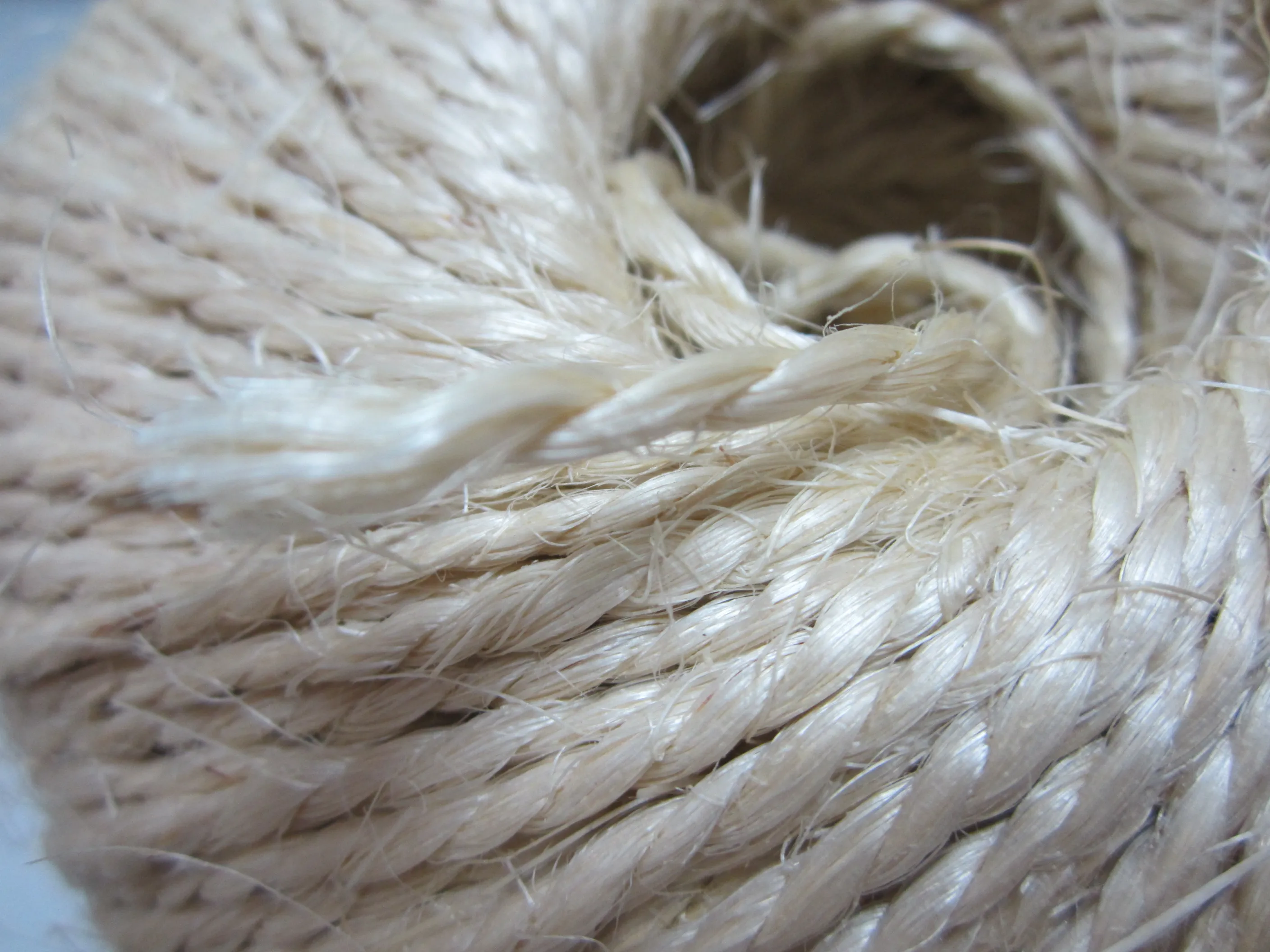 S60-210000R1.JPG
