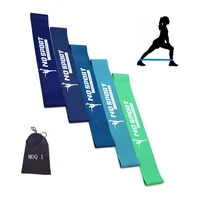 

Loop latex resistance band Premium Resistance with Carrying Bag Fitness Bands