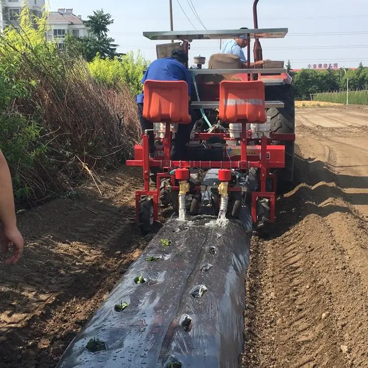 Seedling Transplanter For Vegetable Seedling Transplanting Machine ...