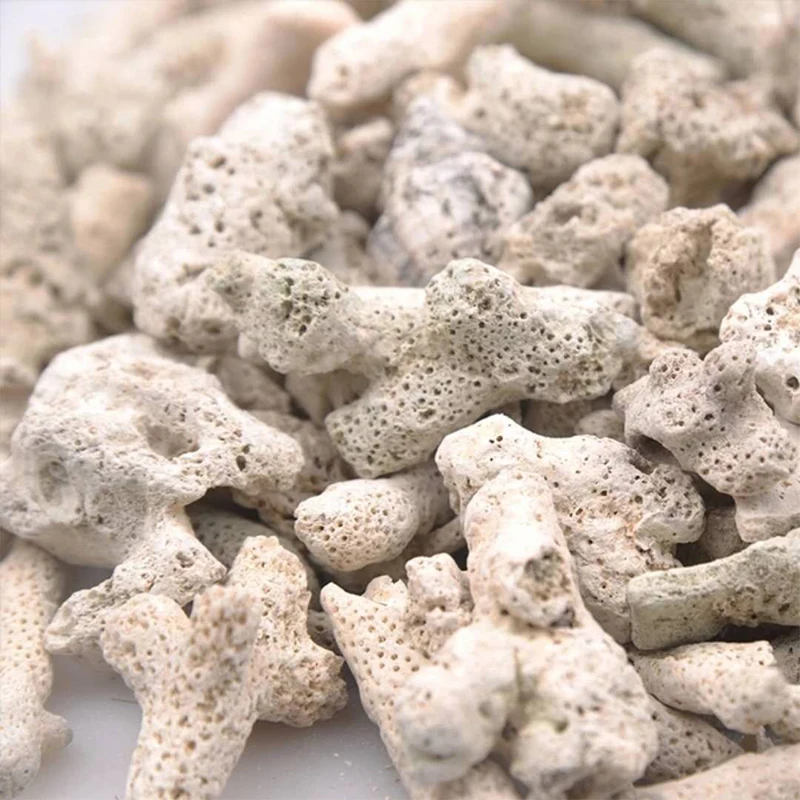 Aquarium Filter Media Coral Sand Stone Buy Coral Sand,Coral Stone
