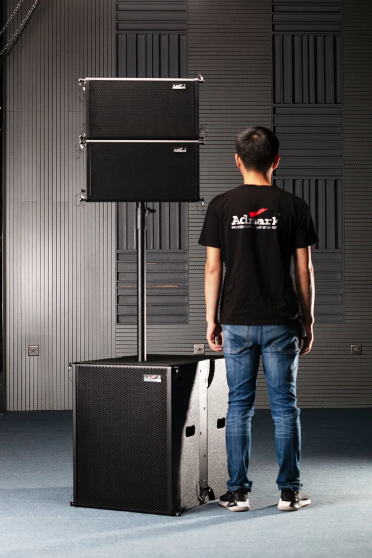 
vera 10 line array speakers 