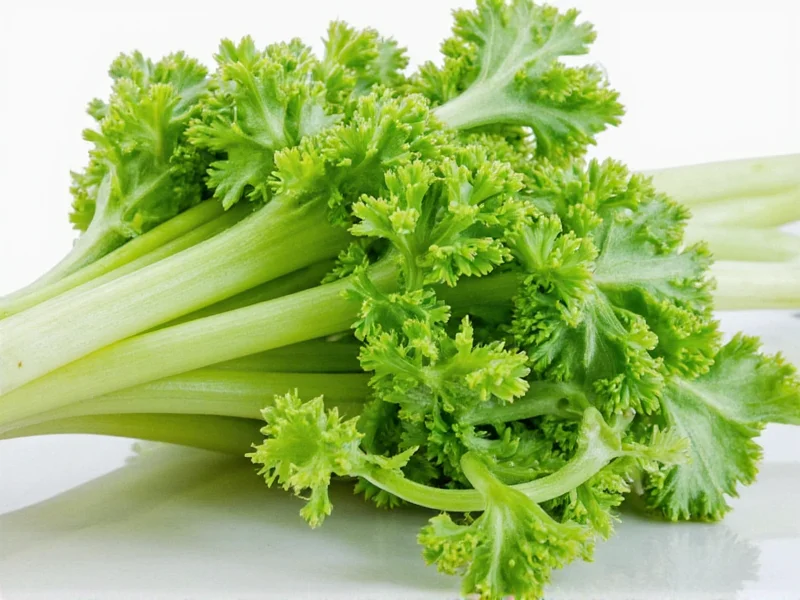 Vergleich von Sellerie-Samen mit anderen Gewürzen in Aroma-Intensität und Anwendungsbereichen