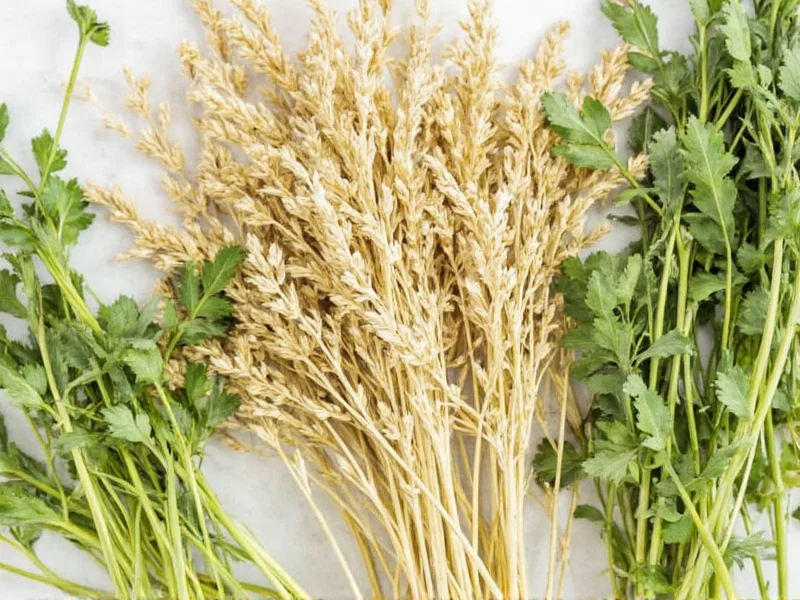 Dried to Fresh Herb Ratio: 1:3 Conversion Guide