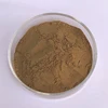 Chinese Mature Ginger Extract / Price of Gingerol Ginger 5% 6% Powder / Dried Ginger Root Powder Extract