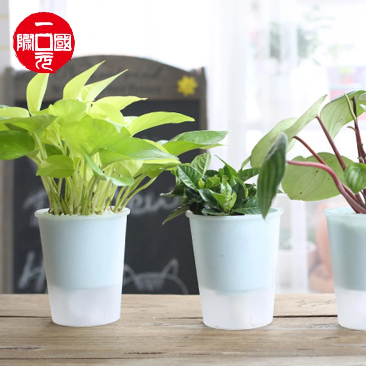 

Wholesale PP material double cup automatic water absorption large hydroponic plant plastic flowerpot