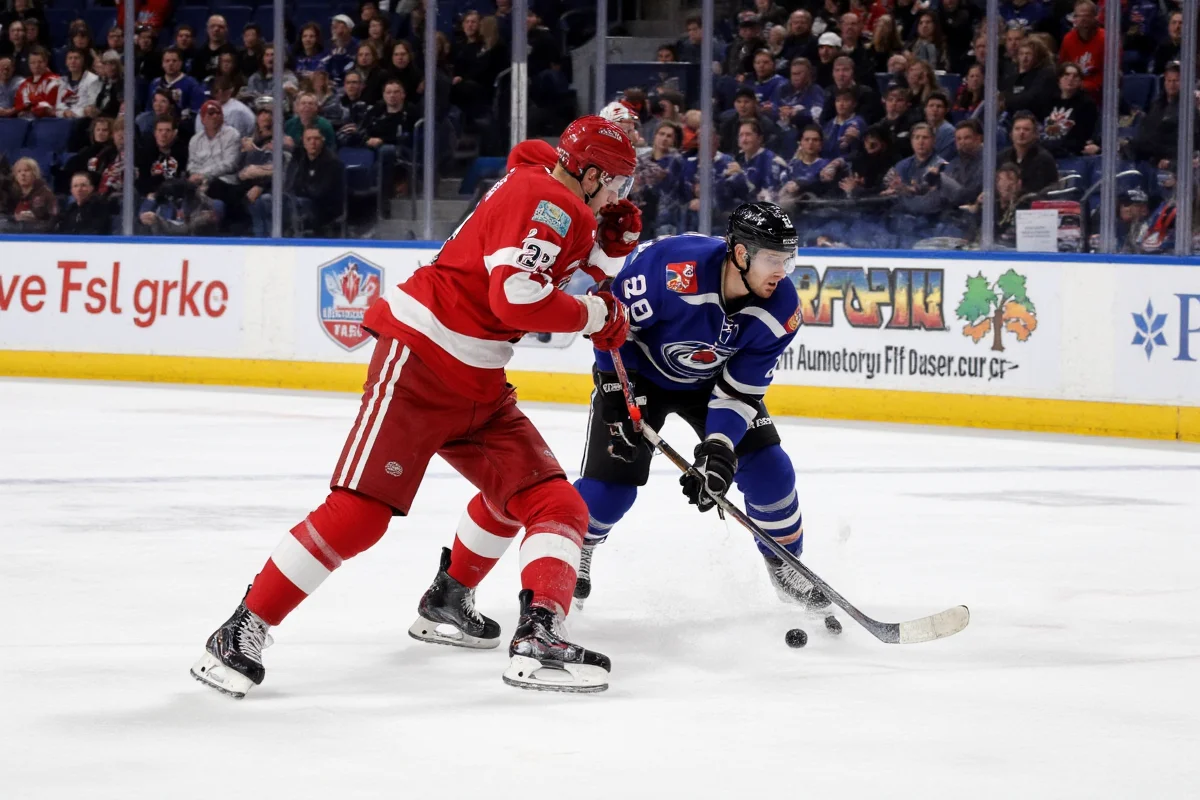 why is fighting allowed in ice hockey