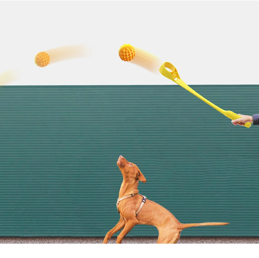 

Factory Price Chuckit Dog Ball Launcher Sport Tennis Ball Launcher for Dogs Molar Sound Ball
