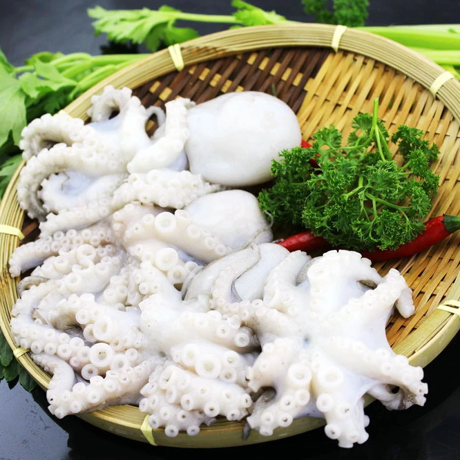 
New season baby octopus frozen octopus with top quality 