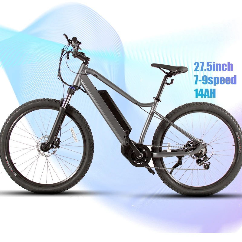 

Competitive price supply 2 warranty years e bike electric bicycle 48v mid drive bike with torque sensor