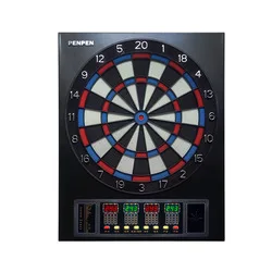 professional dartboard