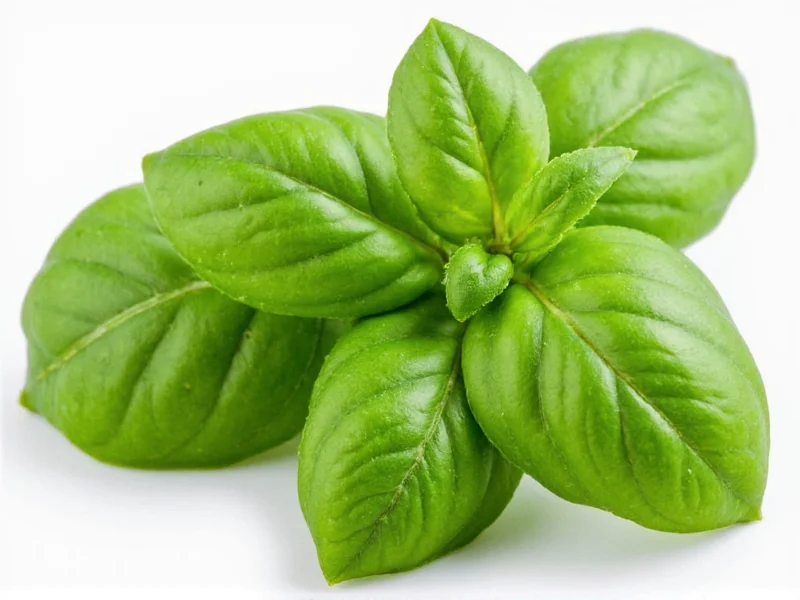 Oregano Substitute for Basil: Smart Swaps & Ratios