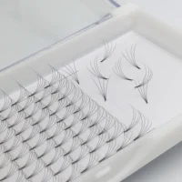 

pre made eyelash extension 4d 6d premade fans glue free volume lashes false eyelashes