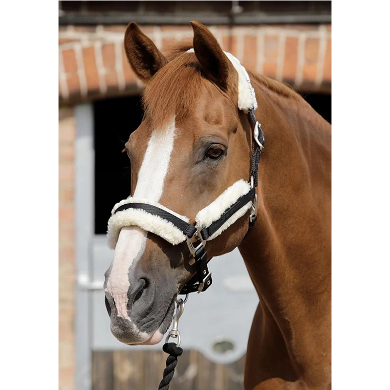 

Horse halter Techno Wool Lined Head Collar
