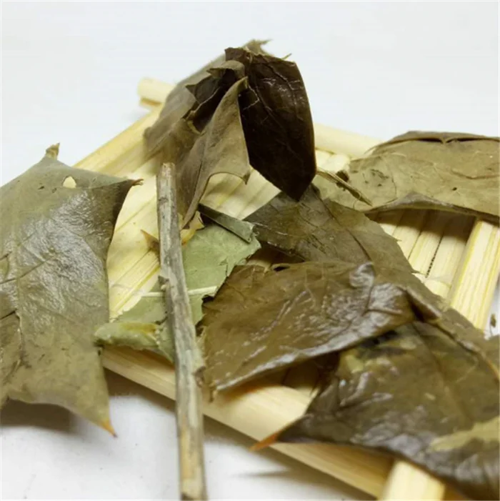 老叶草药中药冬青叶 产品说明   中文名称 老龚叶 英文名称 中国四季