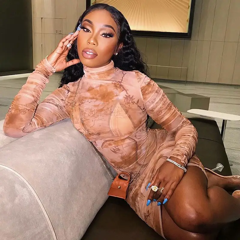 

Hot selling autumn long-sleeved mesh printed sexy slim dresses for women