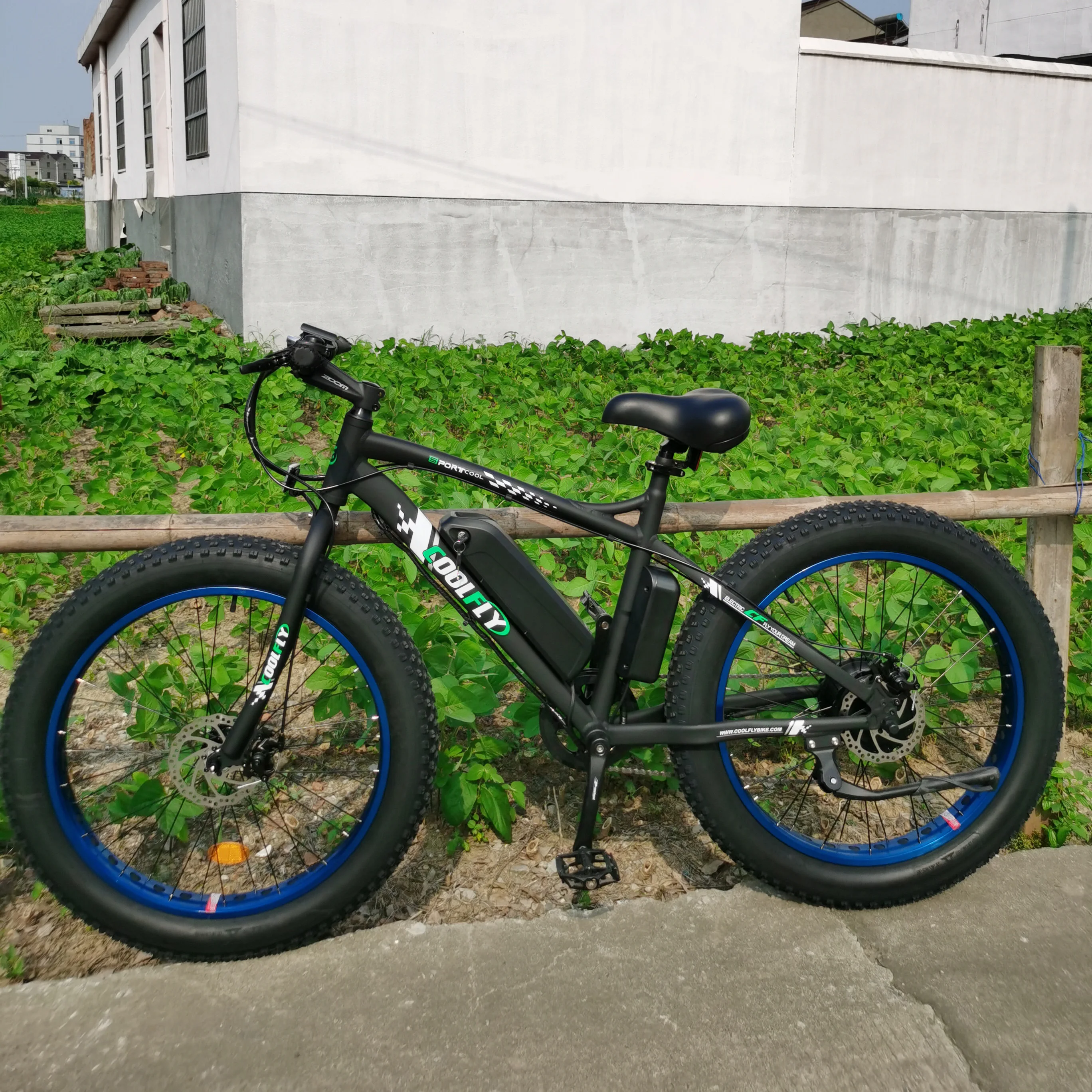 

Most popular electric mountainbike 26inch fly electric bike for adult