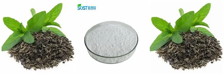 High Quality 100% Pure Organic Tea Extract 99% L Theanine Powder.jpg