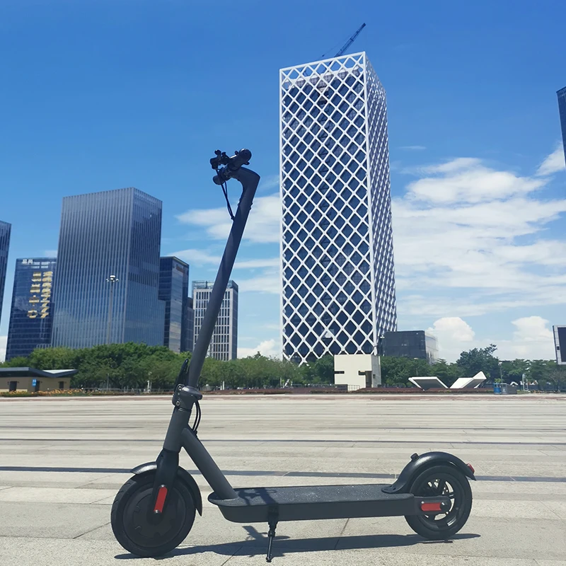 

24 hours delivery EU warehouse 36v powerful adult pedal motor electric scooter