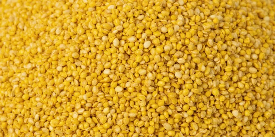 Yellow mustard seeds popping in a pan