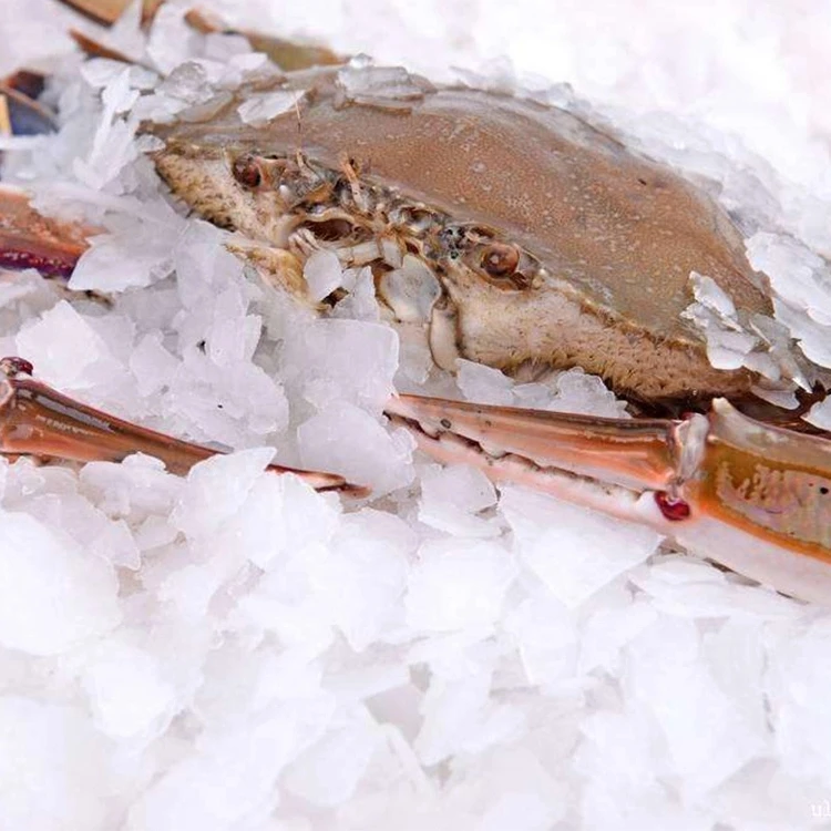 Wholesale Flake Ice Machine Commercial Fishing Machine Ice Machine Buy Flake Ice Machine For