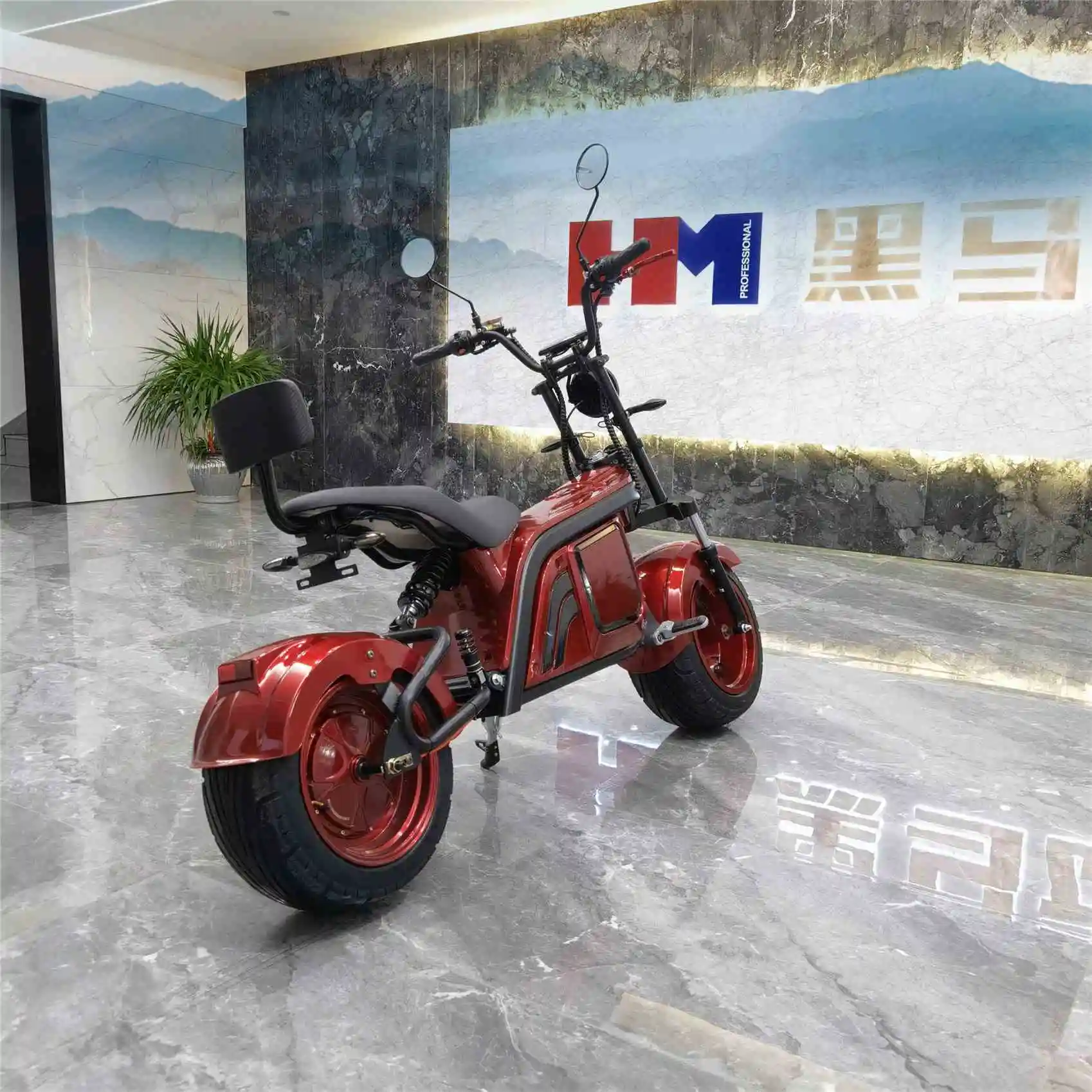 

China Supplier Factory Directly Mobility Electric Scooters Two Wheels Citycoco Electric Scooter