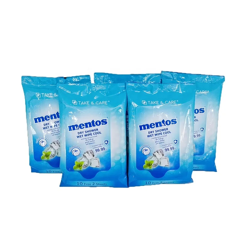 

OEM High Quality Cheap Dry Shower Top Fresh Cleaning Wet Wipes Portable Disposable Wipes Mint Fragrance, Customized