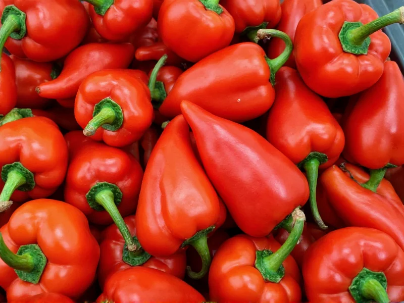 Anaheim Pepper Scoville Units: 500-2,500 SHU Explained