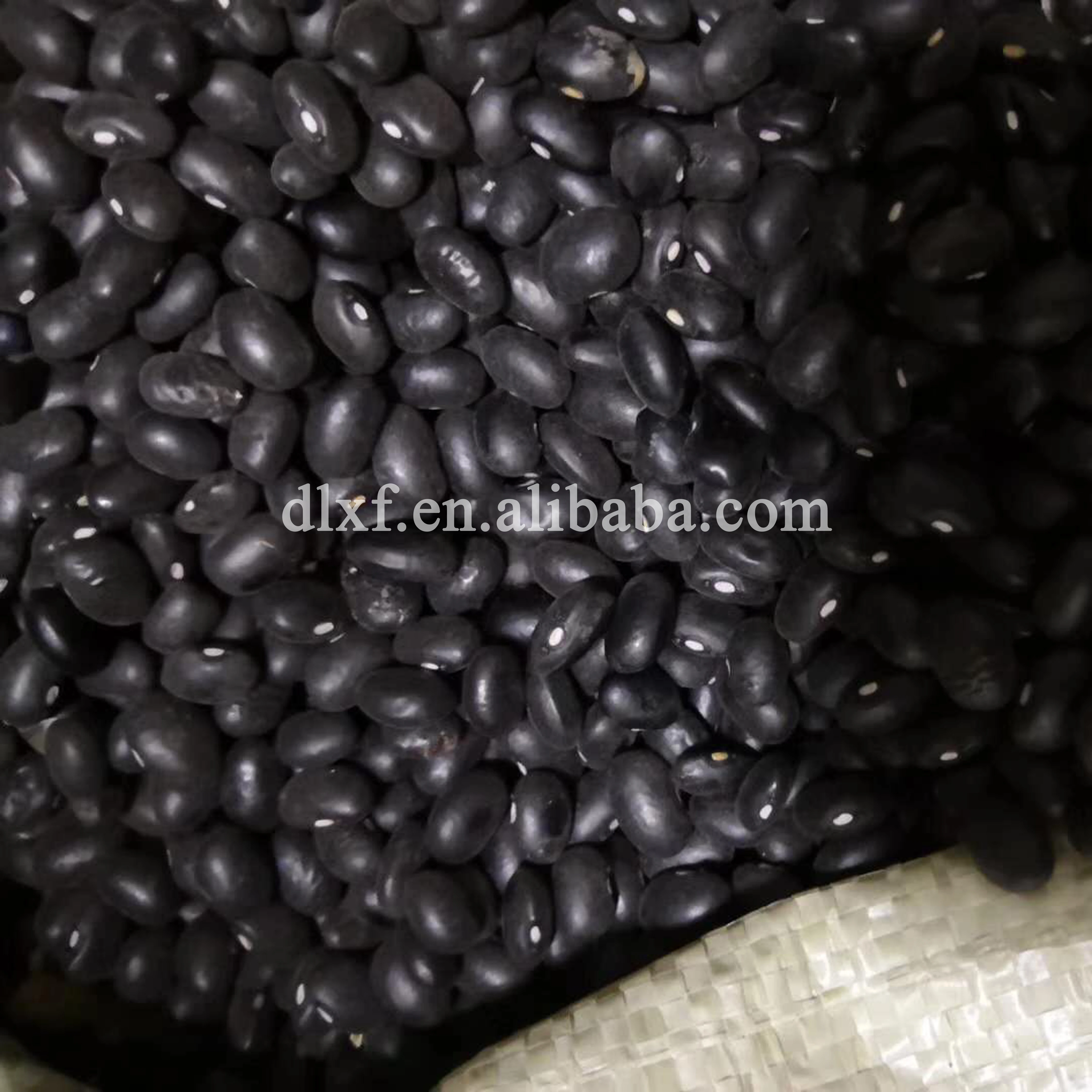 
organic black kidney beans 