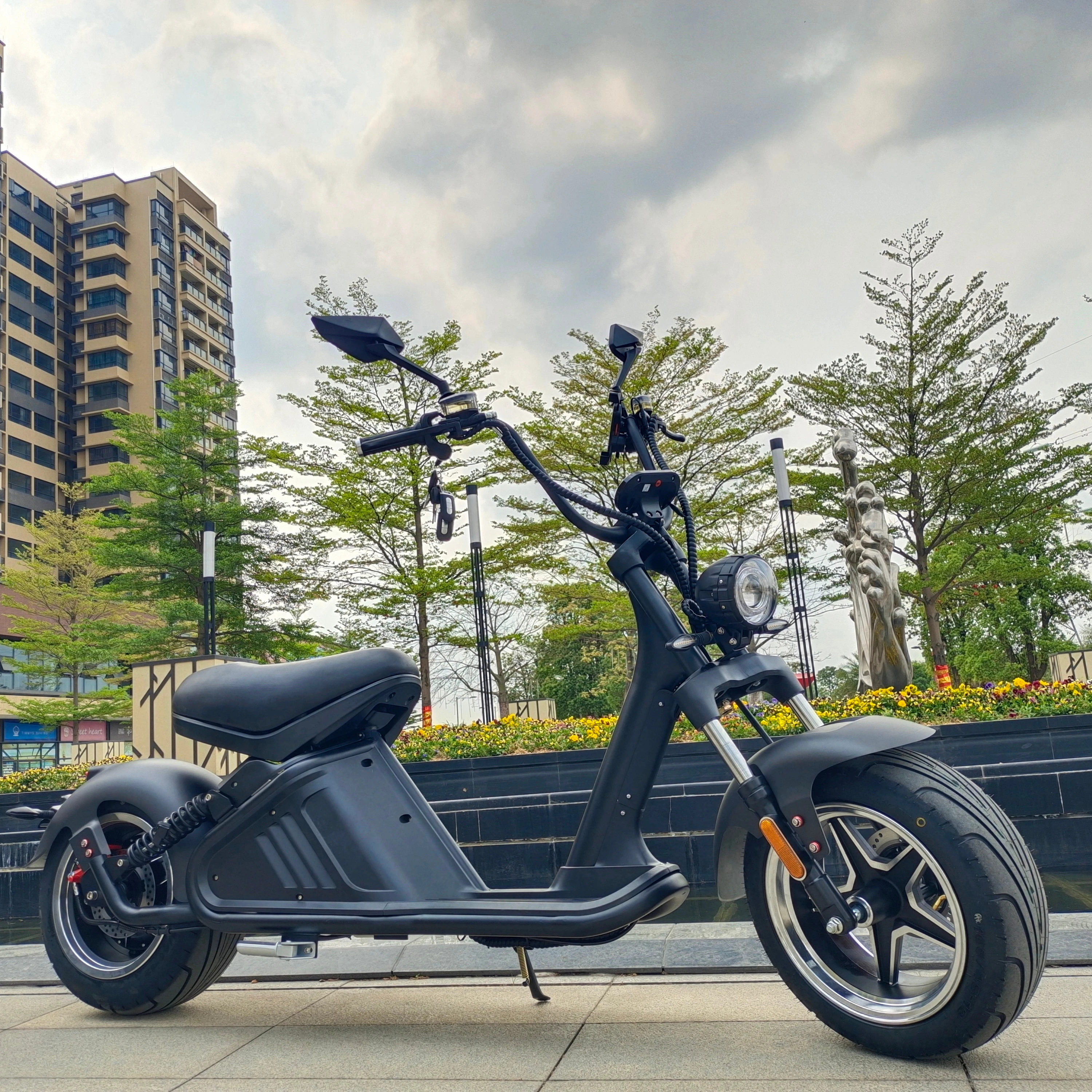 

Amoto new arrival European warehouse 1500w 60v 20ah Lithium Battery big wheels electric scooters electric citycoco, Customized