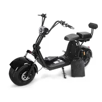 

2020 Super model fashion design removable battery Electric Scooter 2000W City Coco Big Powerful Battery Citycoco for adults