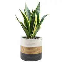 

QJMAX Cotton Rope Plant Basket for 10" Flower Pot Floor Indoor Planters Custom 11x 11inch Storage Basket Modern Home Decoration