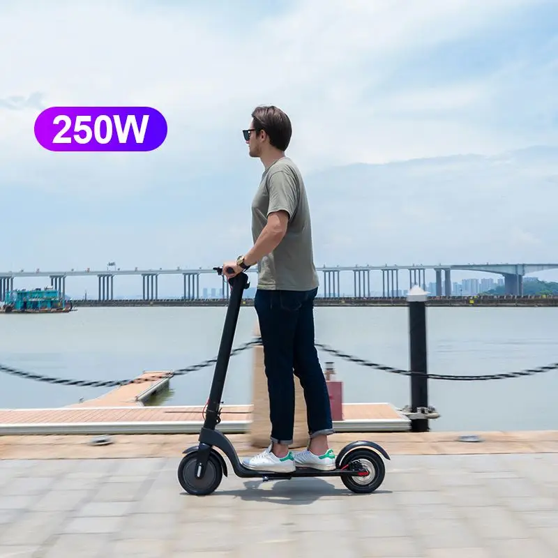 

Big Wheel 10 Inch 36V 350W Max Load 100Kg Foldable Electric Scooter