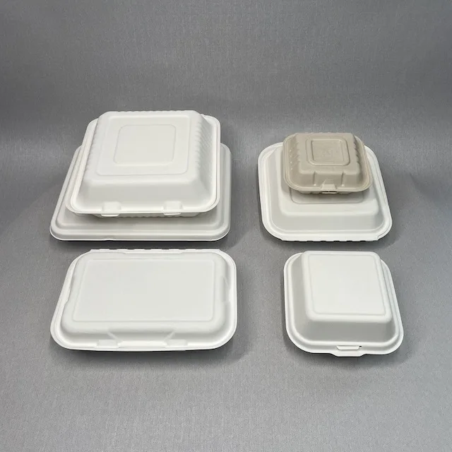

New design 8" 3-Com Clamshell 750ml 2 compartments biodegradable bagasse food container with lid / bus cup holder, Bleached;natural