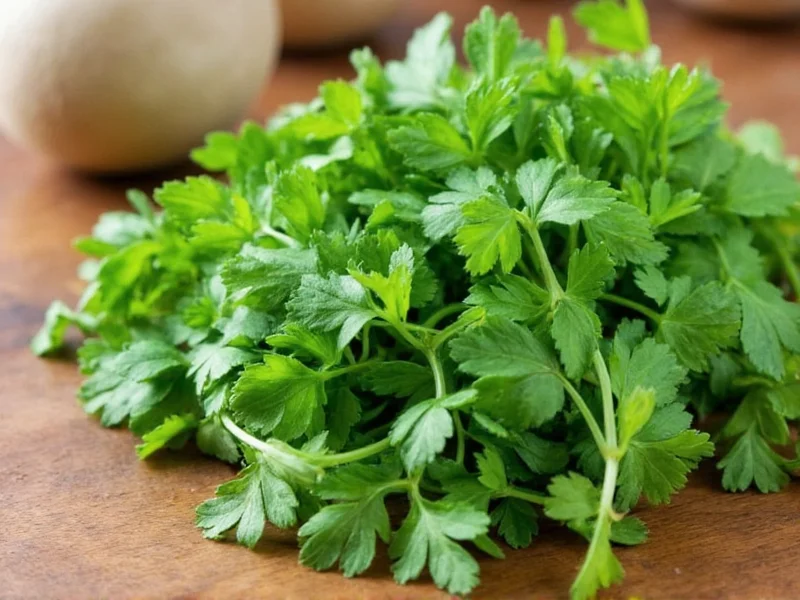 Coriander Substitutes: Fresh vs Ground Solutions