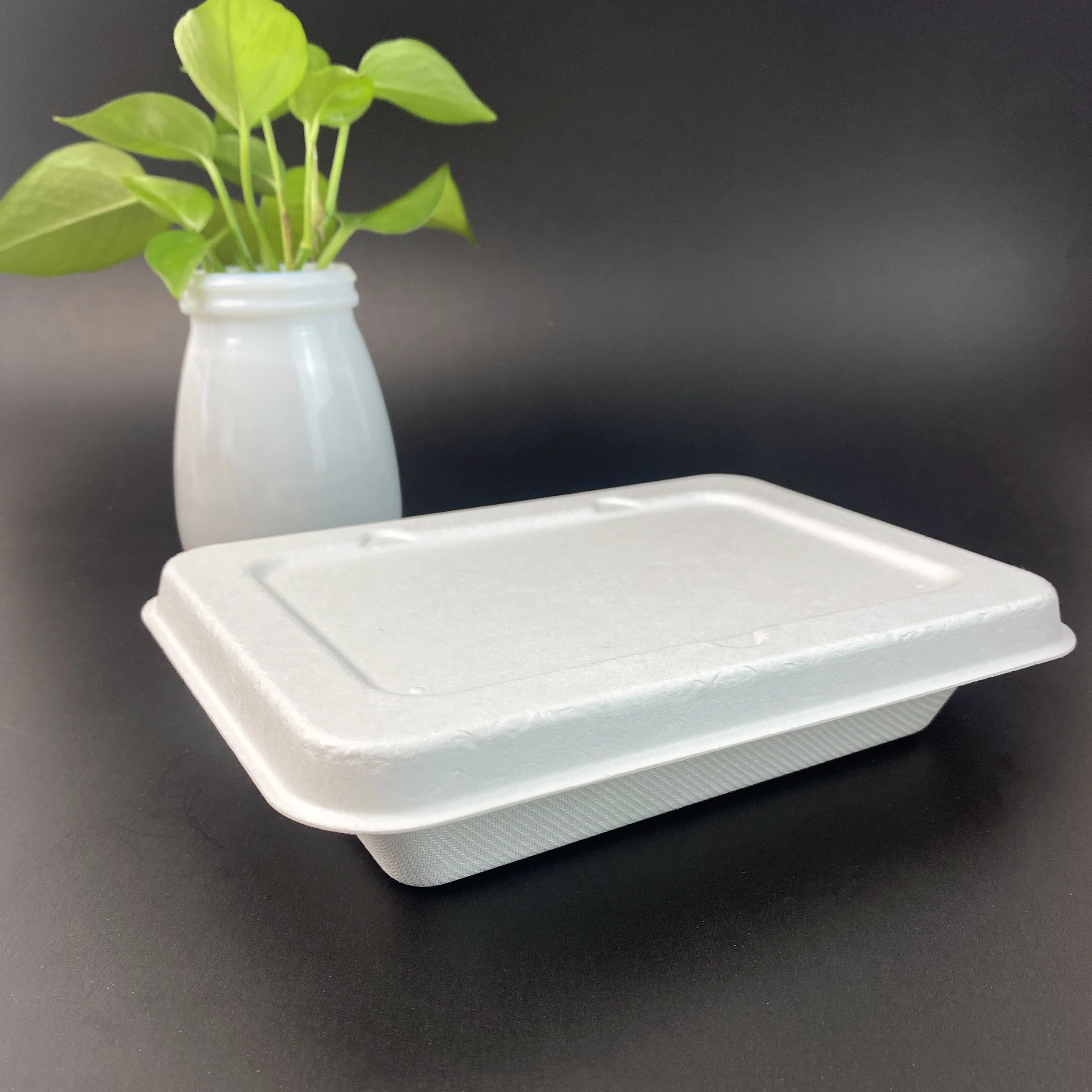 

Take out container food box sugarcane bagasse biodegradable 500ml tray, Bleached and unbleached