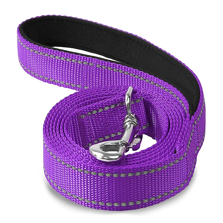 

New Popular Nylon Braided Reflective Custom Training Running Luxury Designer Pet Dog Leash, Customized color