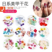 

Beautypapa 12 designs 3D Natural Daisy Gypsophila Preserved Real Dried Flowers Nail Art Decoration Stickers