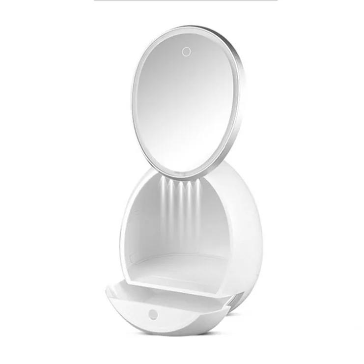 

Wholesale Light Makeup Organizer Egg Shape Led Latest Design Cosmetic Organizer Makeup Case