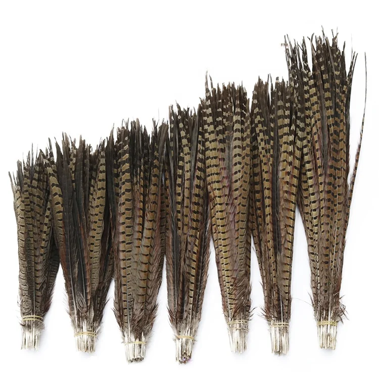 

Hot sale factory direct pheasant feathers 100cm pheasant feathers 100 cm pearl pheasant feathers