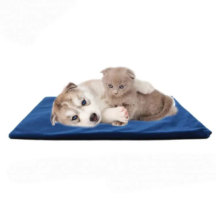 

Lizard tortoise climbing pet mat, Green / red / blue / brown